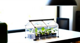 13 Best Mini Greenhouses for Apartment Growers in 2026