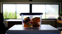14 Best Freezer Containers for Homemade Snacks in 2026