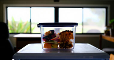 14 Best Freezer Containers for Homemade Snacks in 2026