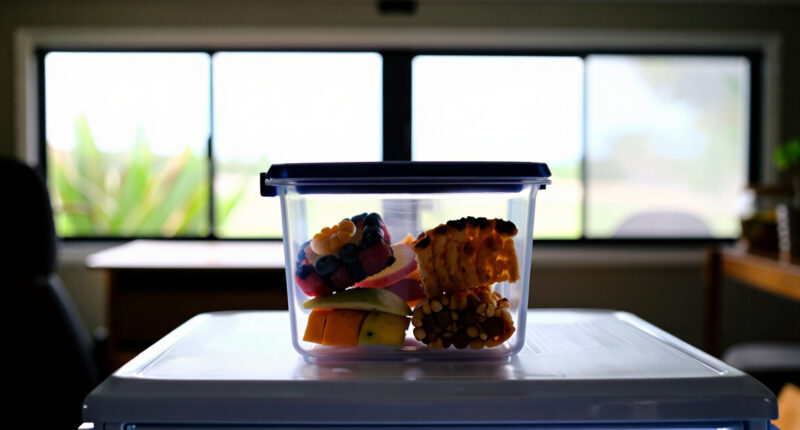 14 Best Freezer Containers for Homemade Snacks in 2026