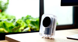 14 Best Smart Irrigation Controllers for Edible Gardens in 2026