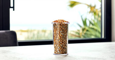 14 Best Stone Grain Mills for Home Baking in 2026