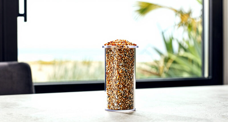 14 Best Stone Grain Mills for Home Baking in 2026