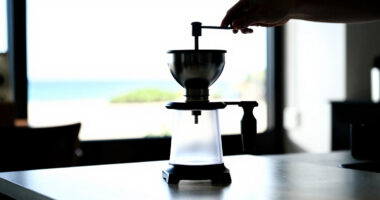 15 Best Coffee Grinders for Small-Batch Seed Grinding in 2026