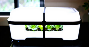 15 Best Countertop Hydroponic Systems for Healthy Kitchens in 2026