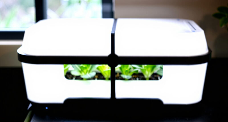 15 Best Countertop Hydroponic Systems for Healthy Kitchens in 2026