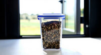 2 Best Seed Storage Containers for Long-Term Freshness in 2026