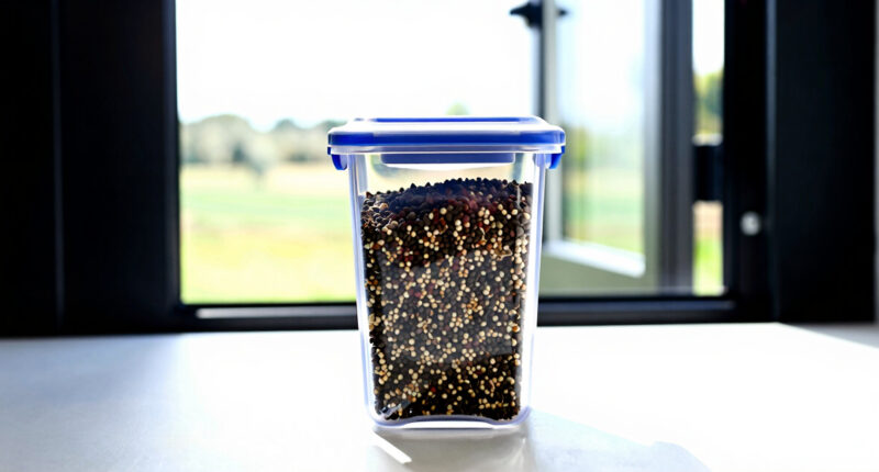 2 Best Seed Storage Containers for Long-Term Freshness in 2026