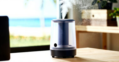 6 Best Humidifiers for Indoor Seed Starting in 2026