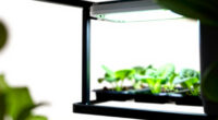 6 Best LED Grow Light Shelves for Home Gardeners in 2026