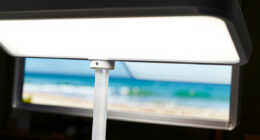 7 Best Full-Spectrum Grow Lights for Seed Starting in 2026