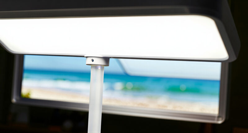 7 Best Full-Spectrum Grow Lights for Seed Starting in 2026