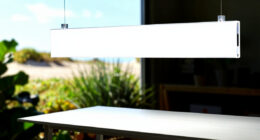 7 Best Greenhouse Accessories for Beginners in 2026