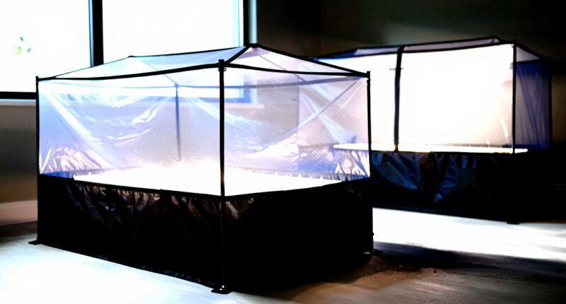 7 Best Indoor Grow Tents for Seed Starting in 2026
