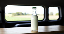 7 Best Plant Milk Makers for Seed-Based Drinks in 2026
