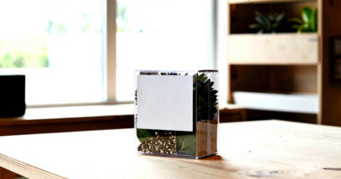 7 Best Seed Library Boxes for Collectors in 2026