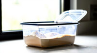 7 Best Storage Bins for Baking Ingredients in 2026