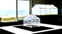 7 Best Walk-In Greenhouses for Backyard Seed Production in 2026