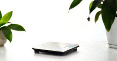 8 Best Digital Kitchen Scales for Precise Seed Recipes in 2026