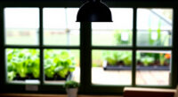 8 Best Greenhouse Heaters for Year-Round Herbs in 2026