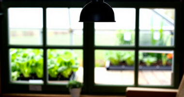8 Best Greenhouse Heaters for Year-Round Herbs in 2026