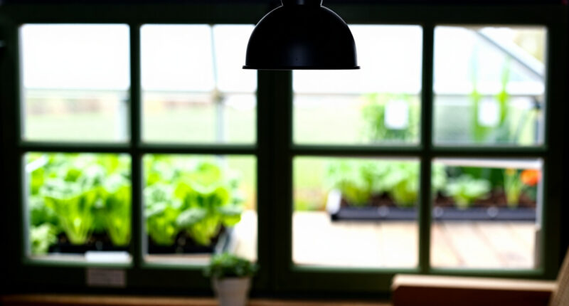 8 Best Greenhouse Heaters for Year-Round Herbs in 2026
