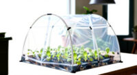 8 Best Grow Tents for Edible Seedlings in 2026