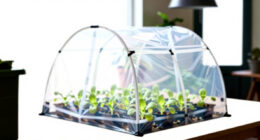 8 Best Grow Tents for Edible Seedlings in 2026