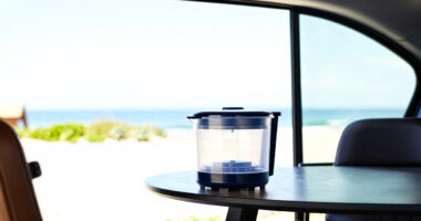 8 Best Large-Capacity Dehydrators for Garden Harvests in 2026