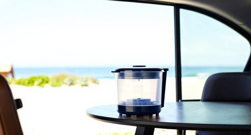 8 Best Large-Capacity Dehydrators for Garden Harvests in 2026