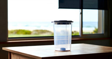 8 Best Oxygen-Free Storage Systems for Long-Term Food Prep in 2026