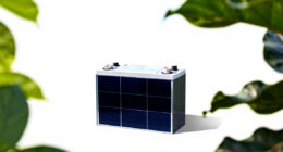 8 Best Solar Backup Batteries for Garden Systems in 2026