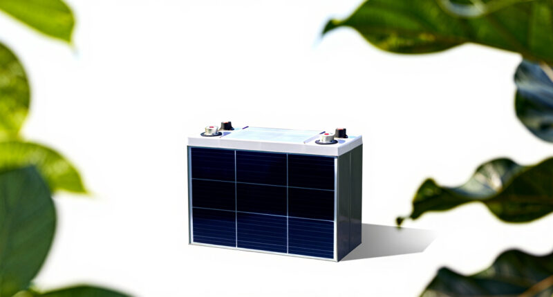 8 Best Solar Backup Batteries for Garden Systems in 2026