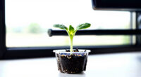 8 Best Sprouting Kits For Edible Seeds In 2026