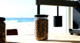 9 Best Food Processors for Seed-Based Recipes in 2026