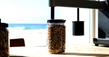 9 Best Food Processors for Seed-Based Recipes in 2026