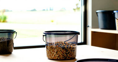 9 Best Food-Safe Buckets for Bulk Seed Storage in 2026