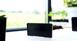 9 Best Garden Labeling Systems for Seed Collections in 2026