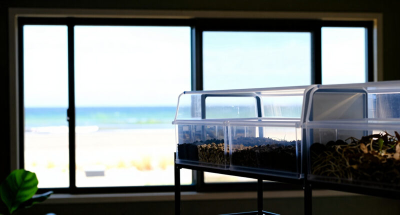 9 Best Greenhouse Shelving Kits for Seed Storage in 2026