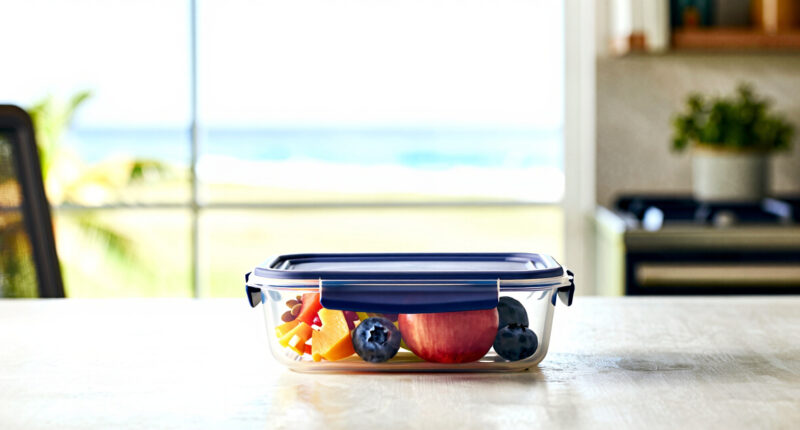 9 Best Lunch Containers for Healthy Breakfast Carry in 2026
