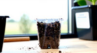 9 Best Soil Blockers for Sustainable Seed Starting in 2026