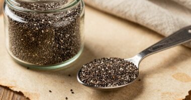 ancient chia preparation techniques