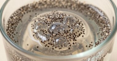 chia seeds absorb water