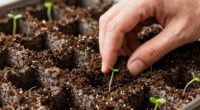 eco friendly seed starting method