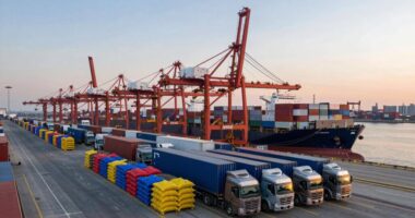 essential for global chia trade
