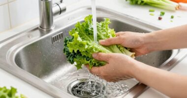 essential for produce cleaning