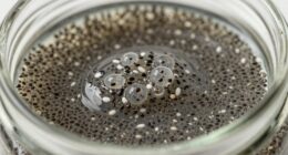 gelatinous over soaked chia seeds