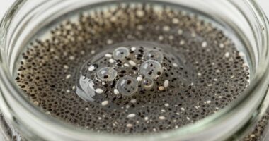 gelatinous over soaked chia seeds