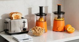 high fiber breakfast preparation