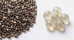 seed type and properties